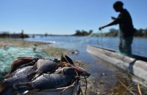 Botswana, Bangladesh to exchange technical knowledge and training in agriculture, fisheries and aquaculture areas