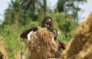 Development partners agree to pour $30 billion into continent’s Agric sector to boost productivity