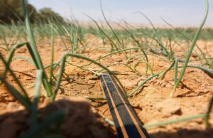 Precision planning for precision irrigation