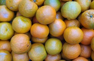 EU headache for South African fruit shipments
