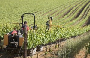 CAAS working with NARDI to fulfil Botswana’s aspirations to transition from a mineral-based economy to a knowledge-based