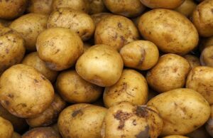 SA fret over Botswana’s extended ban on its fresh produce