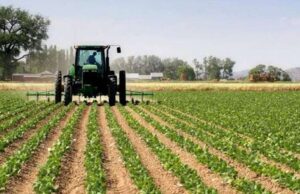 Access to farming equipment boosts mechanisation
