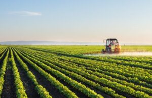 CityBlue Hotels invests in Agtech startup