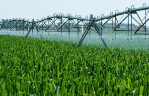 Botswana’s Tech-Driven Battle Against Food Insecurity