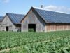 Protected: From Diesel to Solar, Botswana Rethinks Farm Power