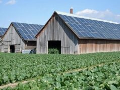Protected: From Diesel to Solar, Botswana Rethinks Farm Power