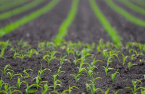 AFGRI Commits To Africa Agri Tech 2023