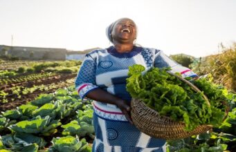 Kvuno empowers farmers with Z’wardy points redemption programme