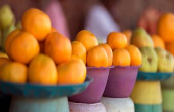 BUAN Paves the Way for Sustainable Energy and Agriculture in Botswana