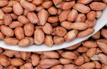 Africa’s Food Dilemma: Can the Continent Feed Itself?