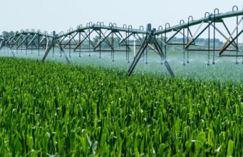 Botswana’s Tech-Driven Battle Against Food Insecurity