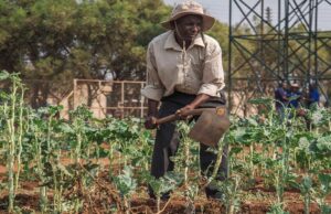 Botswana’s Climate Crossroads: Drought, Deluge, and a Nation’s Struggle to Adapt