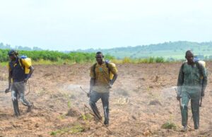 Africa’s Top Young Agripreneurs Invited to Compete for US$160,000 GoGettaz Prize