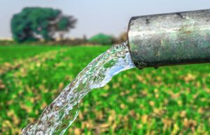 Beyond Food Security and onto Economic Diversification