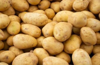 Botswana’s Potato Industry Is Ready to Grow If the Right Investments Follow – Update