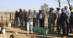 Community Ranch to Boost Food Security in Khwee