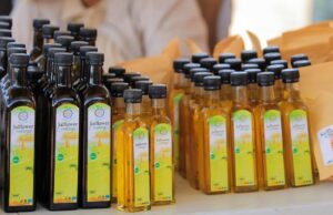 Enhancing Safflower Production And Product Development For Food Security And Improving Incomes Of Small-Scale Farmers In Botswana
