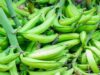 A New Route into SADC for Nigerian Agribusiness