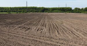 Botswana Target to Boost Farm Output Signals Growth Drive Outside Diamonds