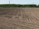 Botswana Target to Boost Farm Output Signals Growth Drive Outside Diamonds