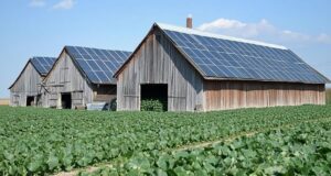 Protected: From Diesel to Solar, Botswana Rethinks Farm Power