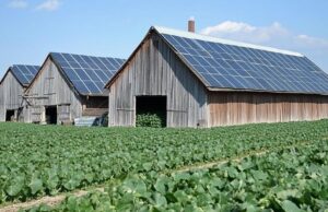 Protected: From Diesel to Solar, Botswana Rethinks Farm Power