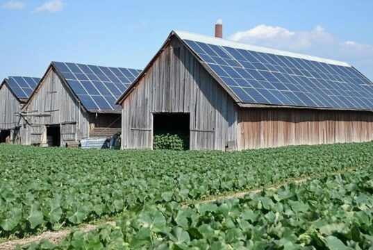 Protected: From Diesel to Solar, Botswana Rethinks Farm Power