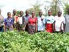 Solidaridad leads the 2026 AFS Forum