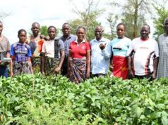 Solidaridad leads the 2026 AFS Forum