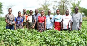 Solidaridad leads the 2026 AFS Forum