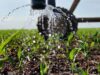 Southern Africa Mobilises as El Niño Threatens Regional Farming