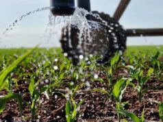 Southern Africa Mobilises as El Niño Threatens Regional Farming