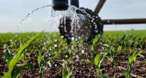 Southern Africa Mobilises as El Niño Threatens Regional Farming
