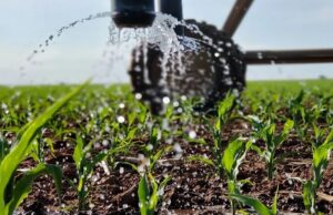 Southern Africa Mobilises as El Niño Threatens Regional Farming