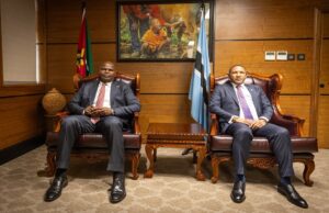 Botswana and Mozambique Turn Historic Ties Towards Minerals and Energy