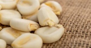 Policy Clash: How Federal Grain Imports Derailed Oyo State’s Botswana Export Ambitions